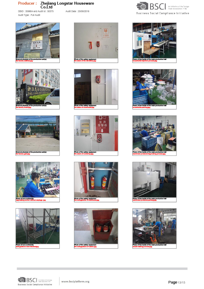 BSCI-13.jpg